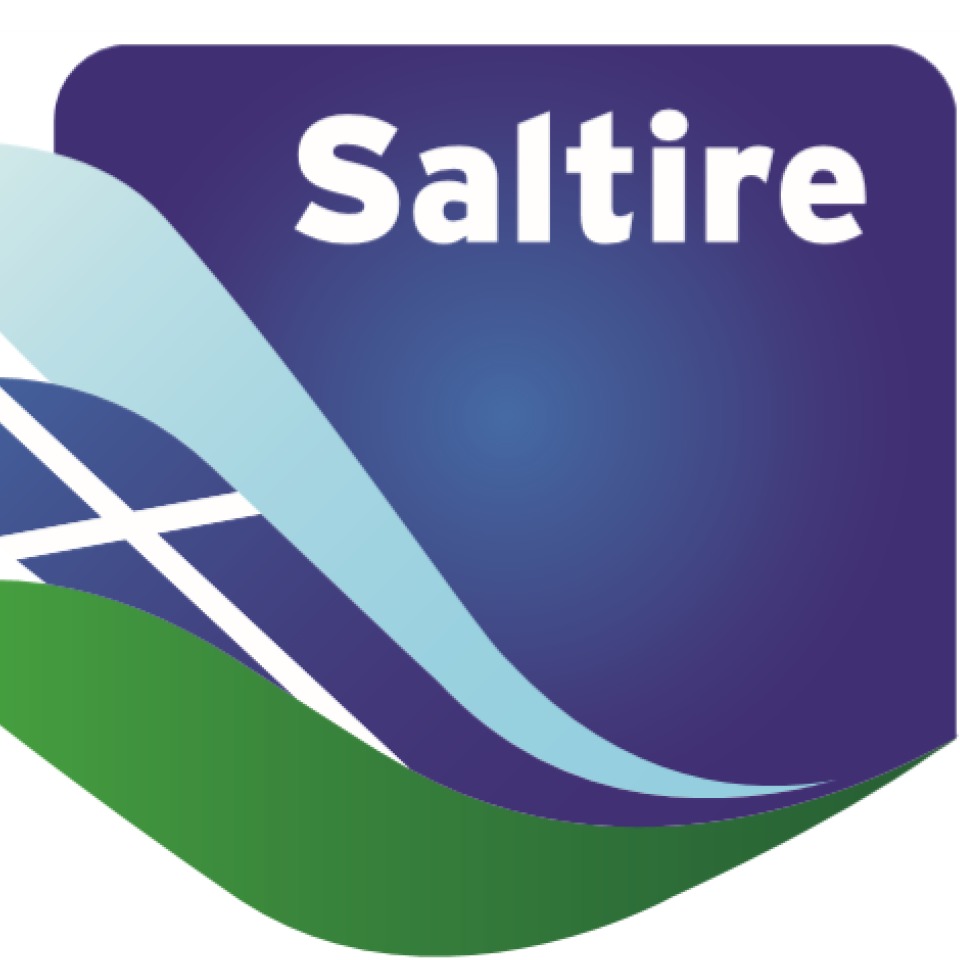 Saltire logo detail