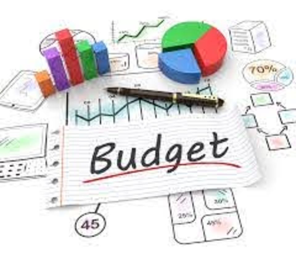 Budget detail