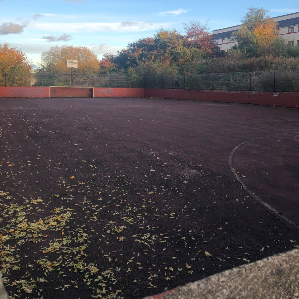 Dumbeg park kick pitch detail