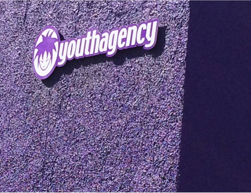 Youth agency detail