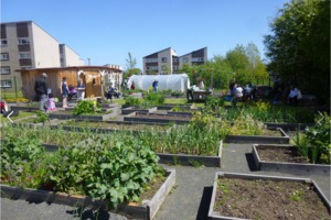 Calders community garden listing