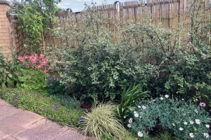 14 flat 2 clovenstone gardens (1) listing