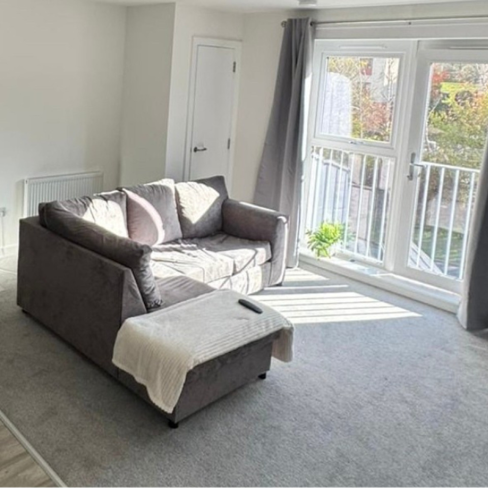 Downsizing facebook (4) detail